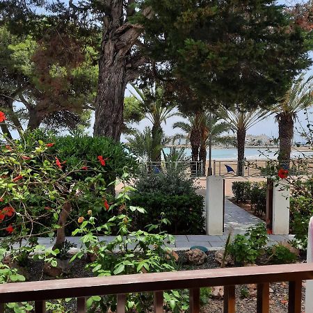 Apartamento Frente Al Mar Alcossebre Dış mekan fotoğraf