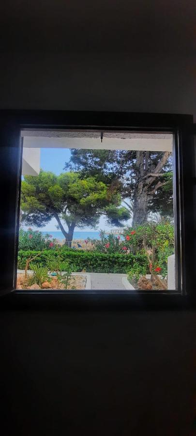 Apartamento Frente Al Mar Alcossebre Dış mekan fotoğraf