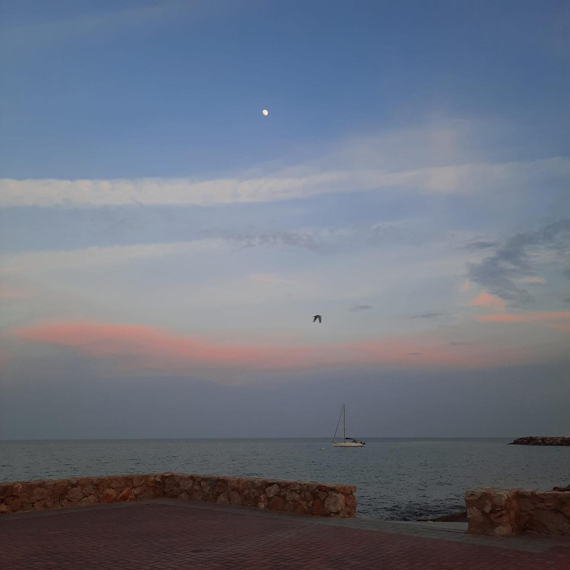 Apartamento Frente Al Mar Alcossebre Dış mekan fotoğraf